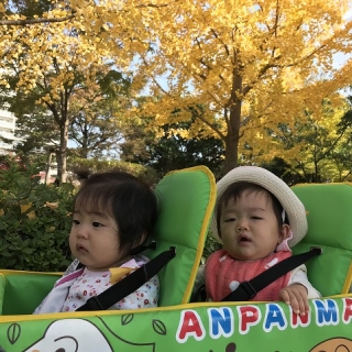 今月のひとコマ（紅葉狩り）