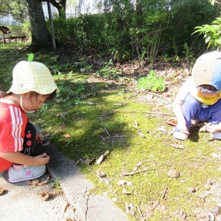 今月のひとコマ（小さな秋見つけた♪）