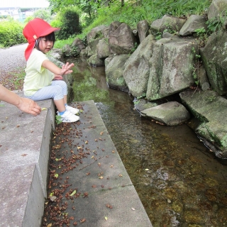 今月のひとコマ（日常）